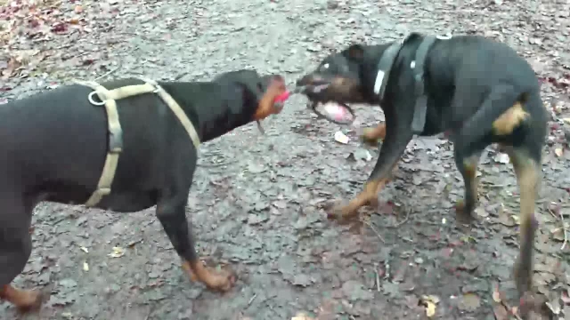 761012008-7110823582