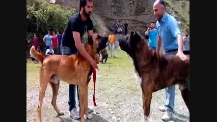 986320714-7088216412