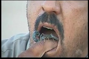 خوردن عقرب زنده توسط این مرد