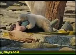 حمله حیوانات به انسان _ جدید