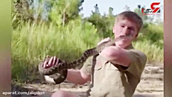 لحظه ترسناک حمله ناگهانی مار به مارگیر!