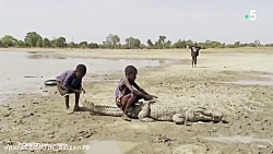 تمساح سواری کودکان در بورکینافاسو!