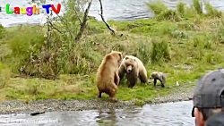 تکنیک های جالب حیوانات در شکار طعمه هایشان