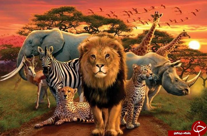 حیوانات بسیار شگفت انگیز در طبیعت