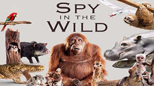 مستند جاسوسی در حیات وحش
