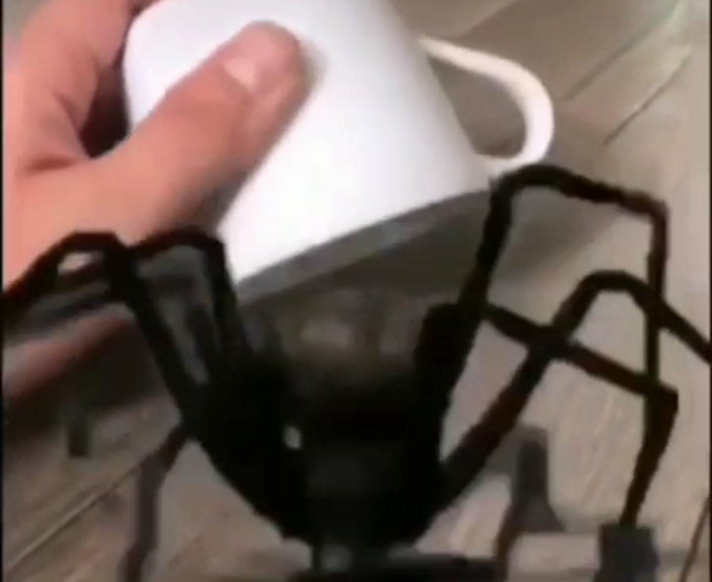 Screenshot_20210917-181454_Video Player