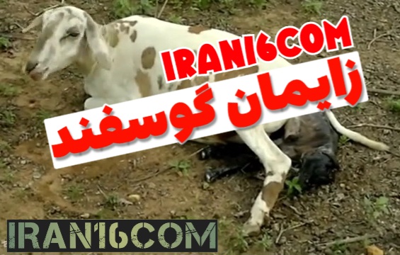 VideoCapture_20230507-235537