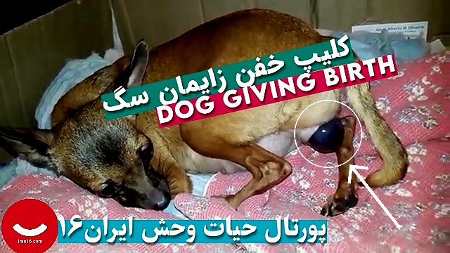 VideoCapture_20230516-100637