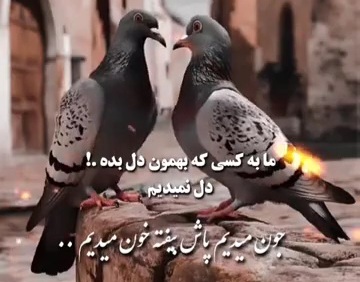 VideoCapture_20250821-041259