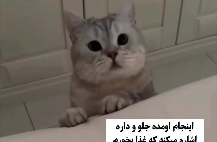 مگه میشه برای این همه مهربونی نَمُرد ؟!🥹🥹🥹