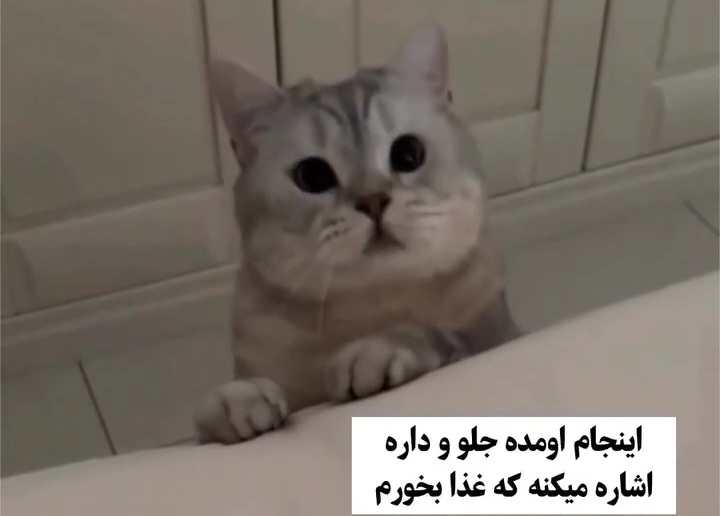 ‪مگه میشه برای این همه مهربونی نَمُرد ؟!🥹🥹🥹