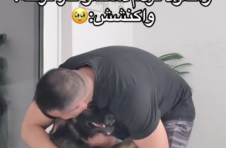 ژرمن سگ مهربون