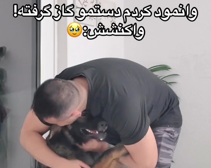 ژرمن سگ مهربون